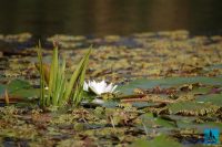 danube delta biosphere reserve