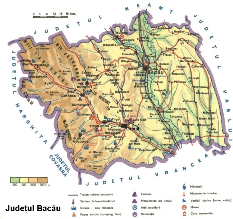 Bacau Map 3 768x721 