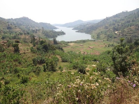 Peisaj deluros deasupra lacului Kivu, Rwanda