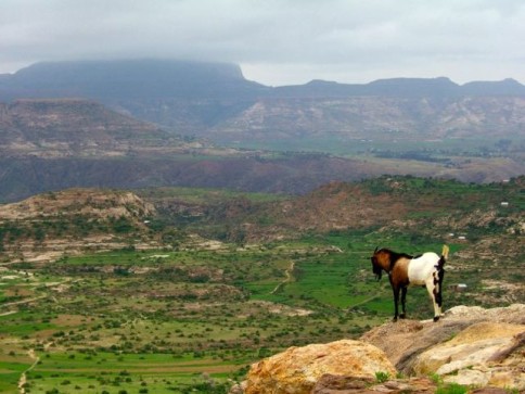 Ethiopian Plateau
