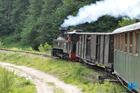 The last Steam Train in Europe, ”Mocănita” from Viseu de Sus (Upper Viseu) crossing Vaser Valley, Maramures County