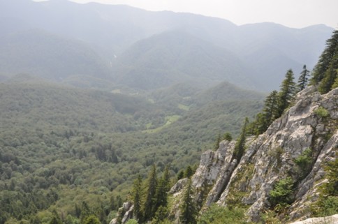 Crisana Region has many natural and architectural beauties