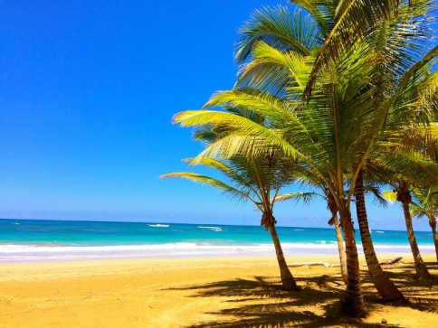 Fantastic beach from Dominican Republic