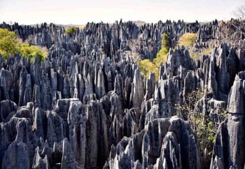 Parcul Naţional Tsingy de Bemaraha, Madagascar