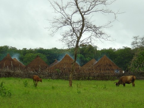 village from guinea bissau