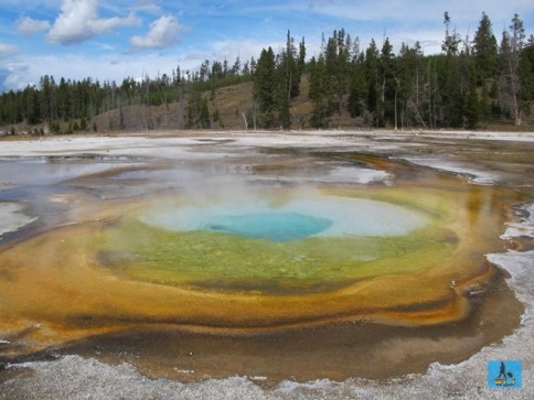 Yellowstone National Park in U.S.A.