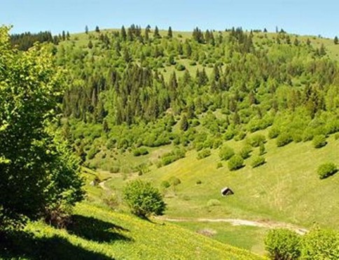 Hartibaciu Plateau is a gorgeous area in central Romania