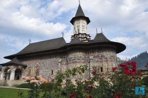 Trandafiri frumoşi în faţa Mănăstirii Suceviţa