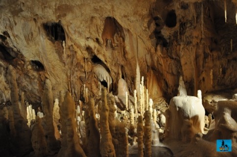 Galeria Lumânărilor cu ursul captiv în partea din spate care încearcă să iasă din peșteră