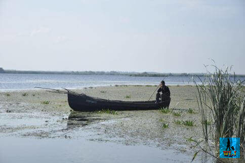 Fisherman in Danube Delta