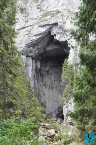 Cetatile Ponorului (Ponorului Citadels) are among the best caves to see in the park