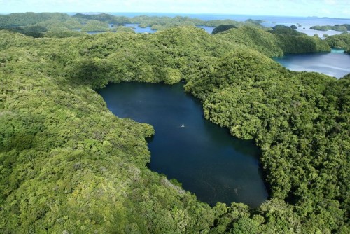 Vedere aeriană asupra Lacului cu meduze de pe Insulele Stâncoase, Republica Palau 